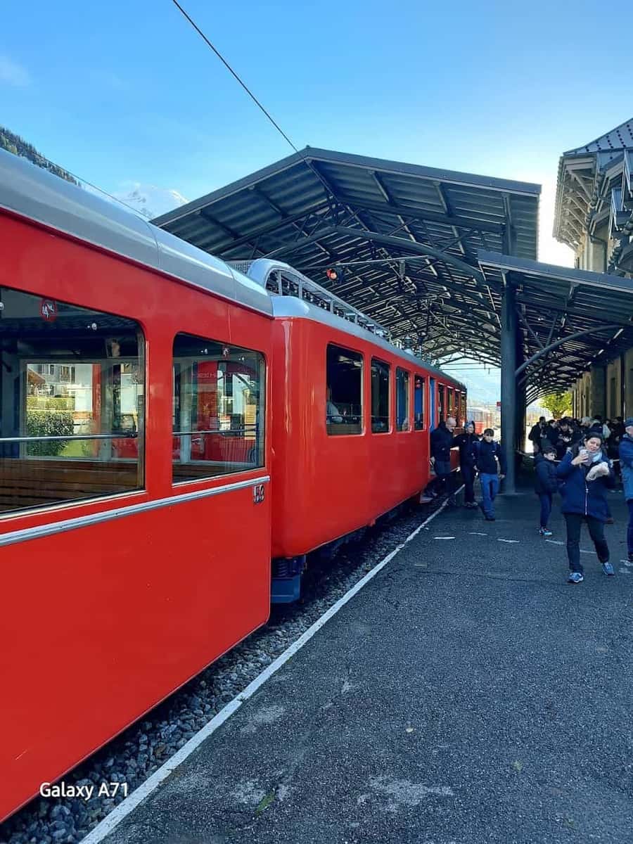 Train du Montenvers, photo 3