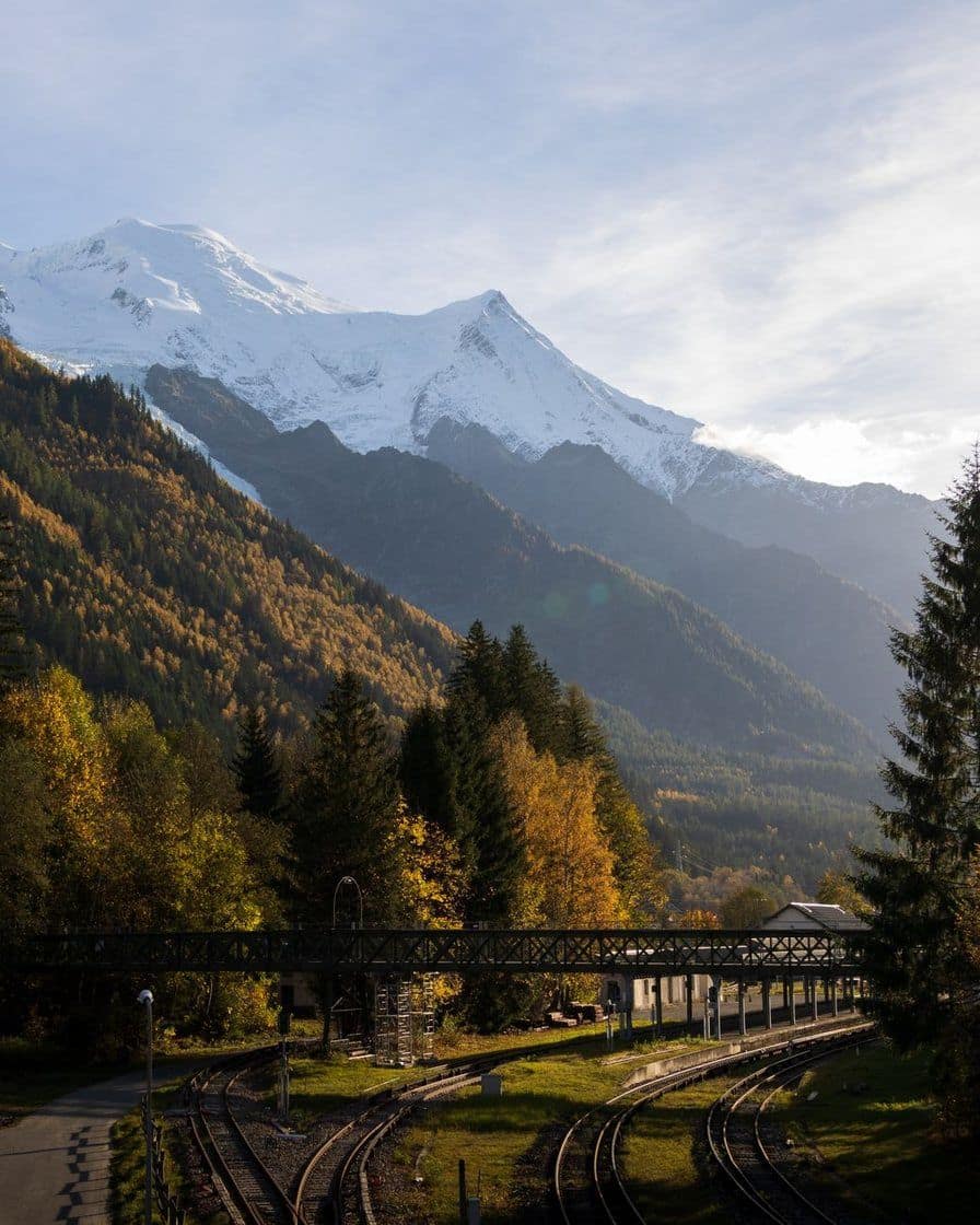 Mont-Blanc Express tracks at the bottom of the Chamonix valley in autumn, golden larches and the snowy dome of Mont Blanc above